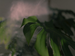 DANIEL WEIGEL — photographer.