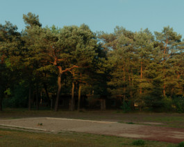 DANIEL WEIGEL — photographer.