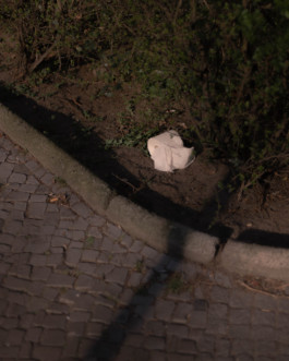 DANIEL WEIGEL — photographer.