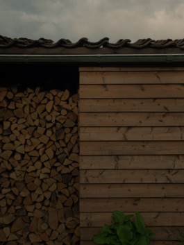 DANIEL WEIGEL — photographer.